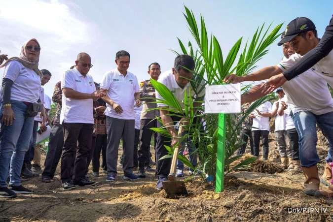 PTPN IV Regional I Tanam Perdana Sawit Program PSR Jalur Kemitraan di Torgamba