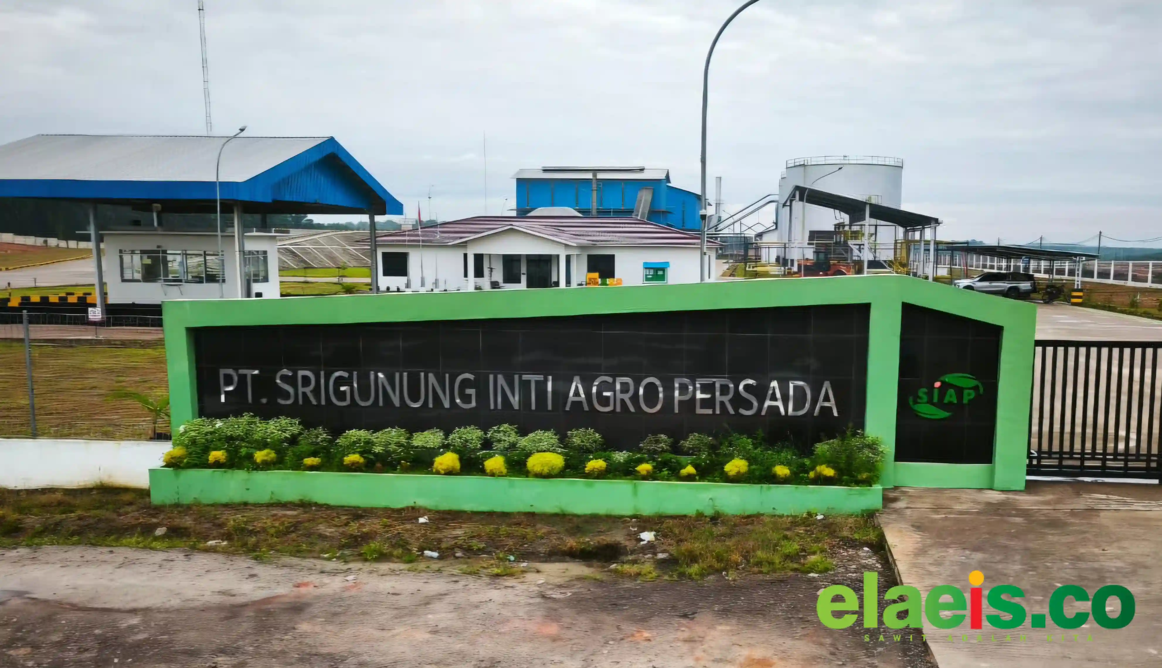 Muba Akan Punya Tiga PKS Milik Petani Sawit
