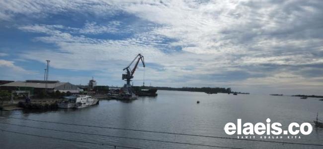 Pelabuhan Baai dan Kebun Kelapa Sawit Itu