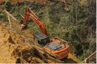 Oalah, Perambah Hutan Dibebaskan Hakim