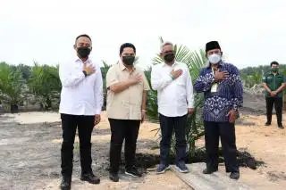 PTPN V Jadi Anak BUMN Perkebunan Terbaik Versi Infobank