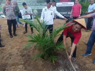 Mantap Lur..., Warga Desa ini Dimodali Pemda Buka Kebun Sawit