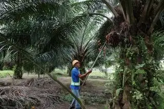 Penetapan UMP Riau 2023 Molor, Ini Penyebabnya