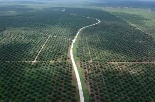 Kasus Lahan di Riau Terus Disorot, Ini Buktinya