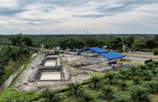 Pabrik Minyak Makan Merah Siap Beroperasi Januari 2023
