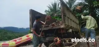 Malaysia Berharap Lebih 'Cerah' Tahun Depan