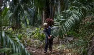 Indeks Nilai Tukar Petani Riau Masih Positif di Desember 2022