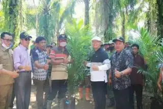 Padat Karya, PSR Bantu Kurangi Pengangguran