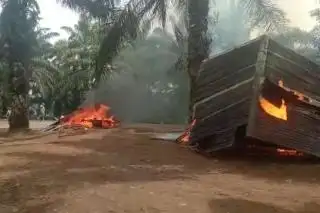 11 Warga Diamankan Usai Pembakaran Aset Perusahaan Sawit