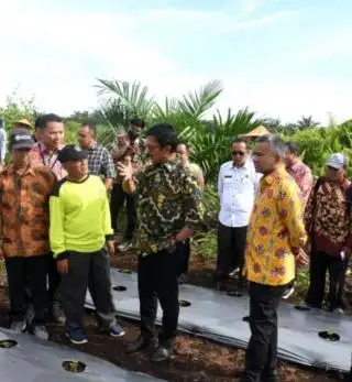 Koperasi Diharapkan Membuat Petani Sawit 'Naik Kelas'