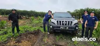 Ada yang Berminat dengan Batang dan Pelepah Sawit, Petani Bisa Hemat Dana PSR