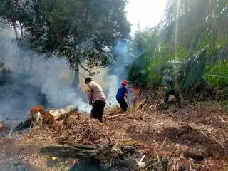 25 Hektar Lahan di Bantan Bengkalis Terbakar