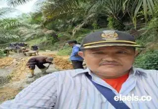 Soal Kampanye Deforestasi UE, Apkasindo Jambi Minta Pemerintah Mainkan Peran Dominan