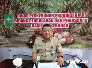 Petani Bisa Senyum Lagi, Harga TBS Sawit Riau Naik Jelang Lebaran