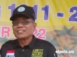 Masuk Musim Trek, Harga Sawit di Aceh Timur Justru Anjlok
