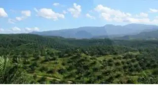 Dua Perusahaan Sawit di Paser 'Pinang' Enam KUD, ini Manfaatnya Buat Petani