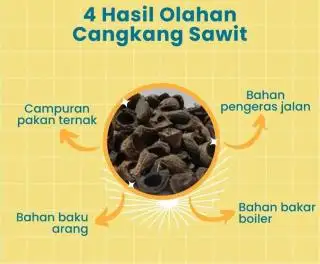 Tersedia 30 Ribu MT Cangkang Sawit Non Screening di Bengkulu, Ada yang Berminat?