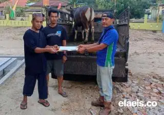 PT SSR Group Sebar 9 Ekor Hewan Kurban ke Penerima Manfaat