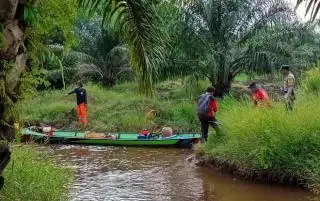 20 Hektar Lahan Hangus, ini Sanksi yang Menunggu Para Pembakar