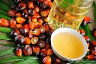 Anggota Masyarakat Ini Bersyukur karena BUMDes Bisa Memproduksi Migor secara Mandiri