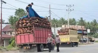 Truk Sawit Over Load Rawan Alami Rem Blong