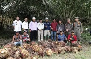 Muba Beri Perhatian Khusus pada Kebun Sawit Baru, Begini Bentuknya