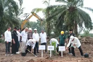 Sergai Perbanyak Tumpang Sari di Kebun PSR, ini Tanaman Sela yang Dipilih