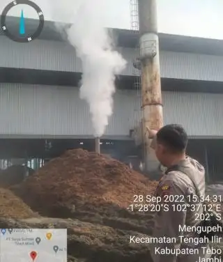 Harga TBS di Jambi Akhirnya Naik, Simak Daftarnya