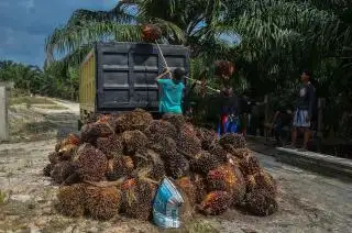 Nilai Tukar Petani Agustus 2023 Naik 1,09 Persen, Ini Penjelasan BPS