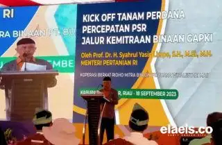 Dihadiri Dirjenbun, Hari Ini Digelar Tanam Perdana PSR Koperasi Berkat Ridho di Kampar