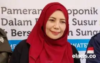 Ketimbang Rugi, Petani Sawit Diminta Tetap Rawat Kebun yang Ditanami Bibit Abal-abal
