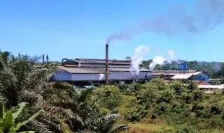 DPMPTSP Mukomuko Ancam Cabut NIB Perusahaan Sawit Gara-gara Ini