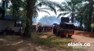 Perlu Duduk Bersama, Cara Mengurai Konflik di Perkebunan Sawit