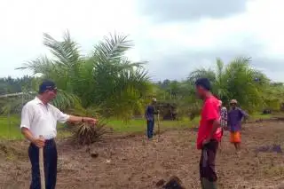 Perkembangan Mutakhir Industri Sawit Indonesia: Berkontribusi Meningkatkan Ketahanan Pangan