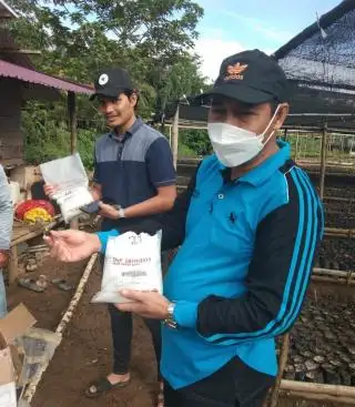 Petani Diingatkan Jangan Beli Benih Kelapa Sawit di Marketplace