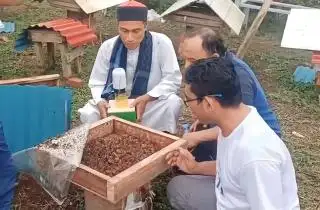 Petani Sawit Diajak Budidaya Lebah Trigona