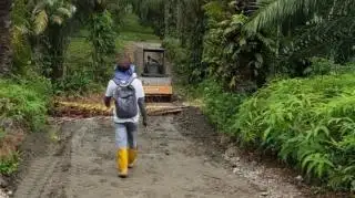 Tingkatkan Mobilitas Petani Plasma, 2 Alat Berat Dikerahkan Perbaiki Jalan Kebun