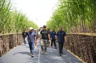 Holding Perkebunan Pertajam Program Pasca Transformasi Bisnis PTPN