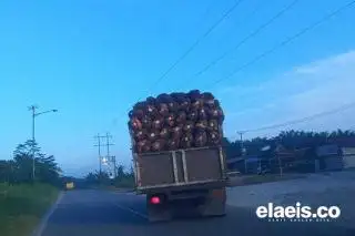 Turun, Harga Sawit Kalbar Rp2.370,62/Kg