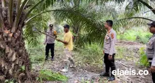 Pekerja Sawit di Inhu Dapat Sentuhan Pemilu Damai