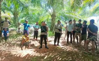 241 Konflik Agraria Terjadi Sepanjang 2023, Perkebunan Sawit Jawaranya