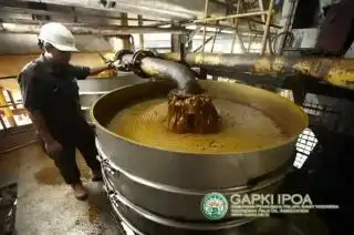 Harga Jual CPO Perusahaan Mitra Plasma di Riau Anjlok, Simak Daftarnya