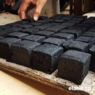 Dukung Hilirisasi Cangkang Kelapa Sawit Menjadi Briket