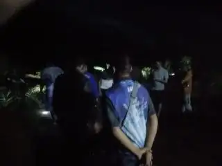 Ada Harimau, Pekerja Perusahaan Sawit di Siak Diminta Tak Keluar Malam