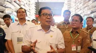Seimbangkan Harga Beras, Bulog Mainkan Tiga Jurus Intervensi