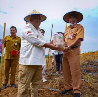 Lebih 1.200 Hektar Kebun Sawit di Paser Siap Ditanami Padi Gogo