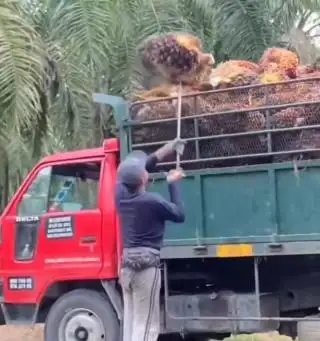 Menjelaskan Soal Hutang Berupa KUR Terkait Program PSR