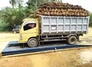 Pemilik Ramp Sawit Wajib Urus Izin