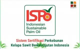 Pemda Diminta Pakai DBH Sawit untuk Percepat Sertifikasi ISPO