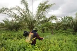 Pemkab Mukomuko Alokasikan Rp 362,8 Juta DBH Sawit untuk Program BPJS Ketenagakerjaan